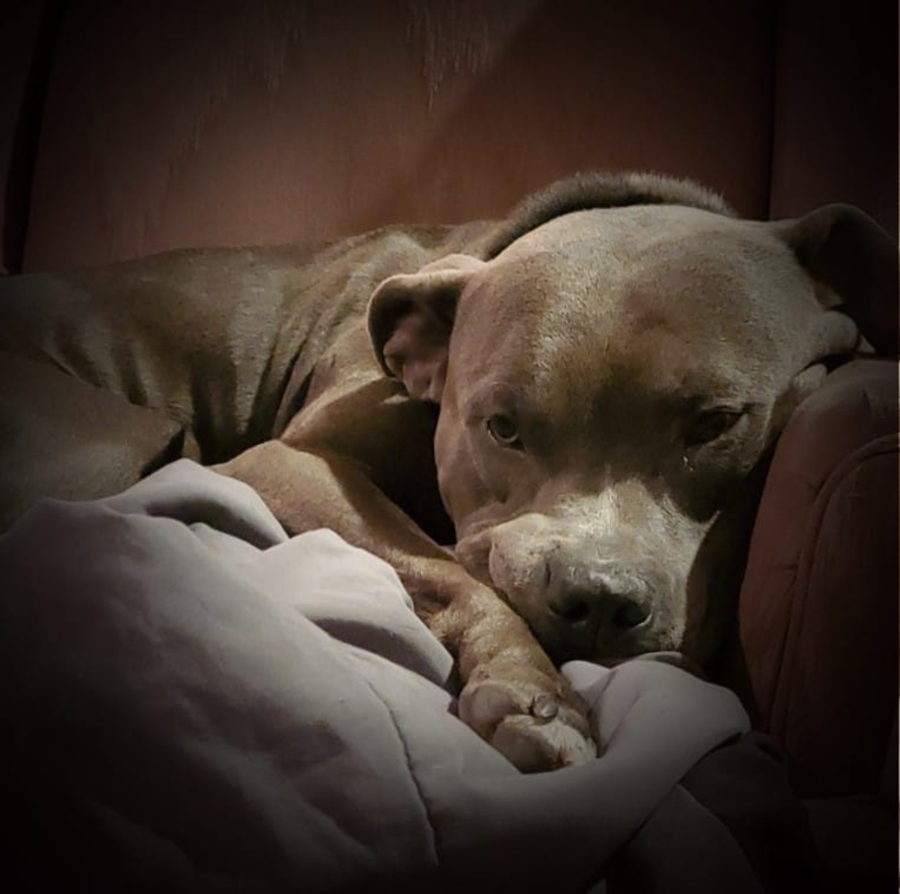 Meet your Posher, Terri